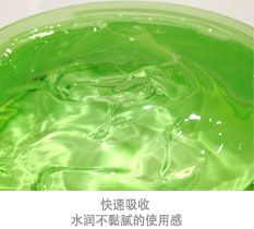 Aloe Vera Moisture Soothing Gel