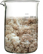 Aloe Vera Moisture Soothing Gel